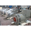 Copy Stamford Single S. a. /Double S. a. Three Phase Brushless Generator